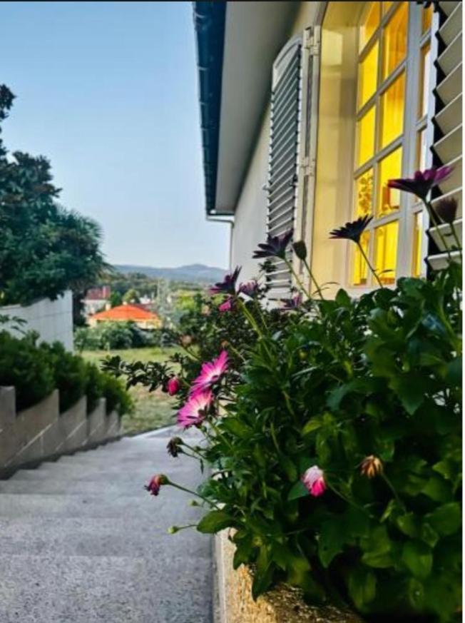 A Casa De Abelleira Ponteareas Bed & Breakfast Ngoại thất bức ảnh