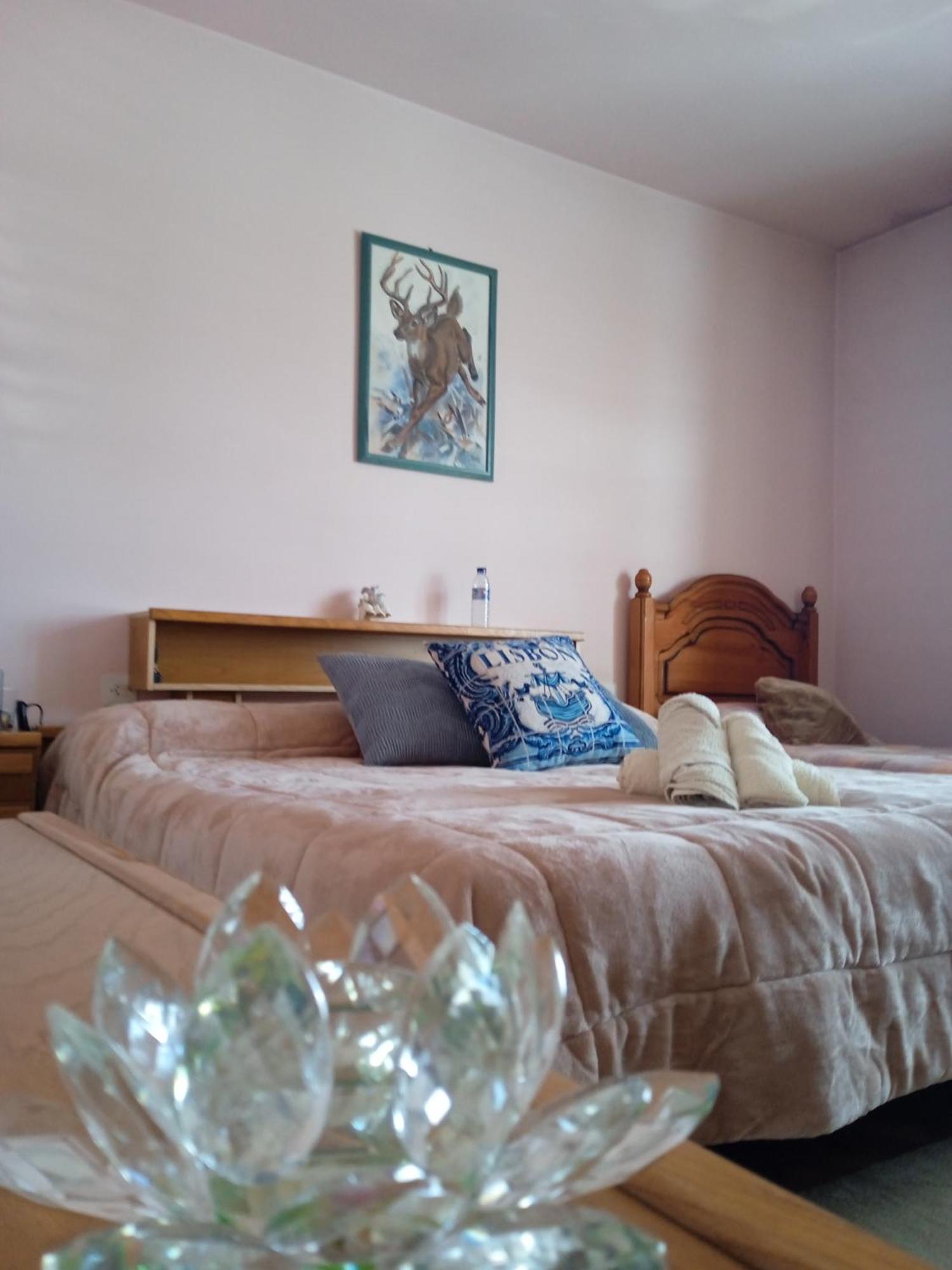 A Casa De Abelleira Ponteareas Bed & Breakfast Ngoại thất bức ảnh